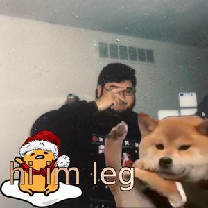 Meet your Posher, Oscar